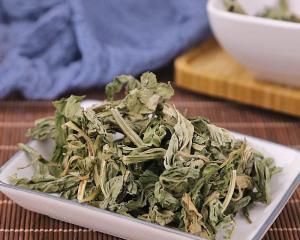 探秘香灵草（了解香灵草的外形、栽培、用途以及药用价值）