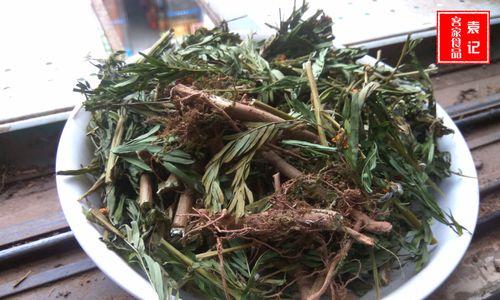 软肝草与铁甲草的区别（认识这两种常见的草药，了解其特点和功效）