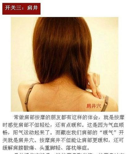 滴水观音的温度习性（探究滴水观音对温度的适应能力及养护方法）