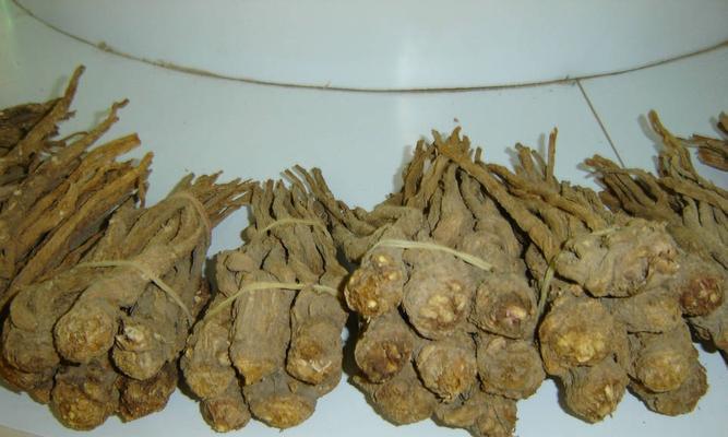 当归药物的药用功效及使用方法详解（掌握当归的多种药用方法，让你的身体更健康）