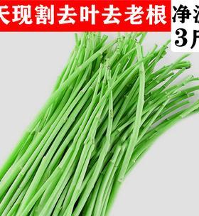 泥蒿和芦蒿的区别与相似（探究这两种植物的形态、生长环境和药用功效）