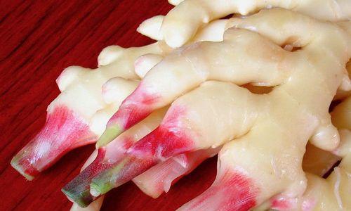 生姜的喜光特性（探究生姜光合作用的关键）