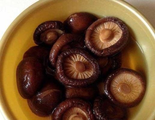 香菇能放冰箱吗？（探究香菇放入冰箱保存的正确方法）