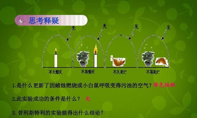 二氧化碳对植物的作用（探究二氧化碳对植物生长的影响及其原理）