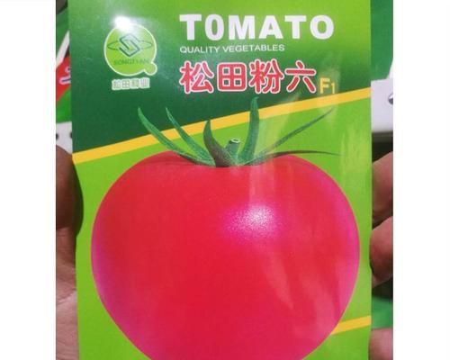 如何种植西红柿（轻松掌握西红柿种植技巧，让你轻松种出美味的西红柿）