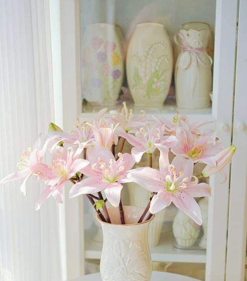 百合花的生长与保养（揭秘百合花的日光浴秘诀）