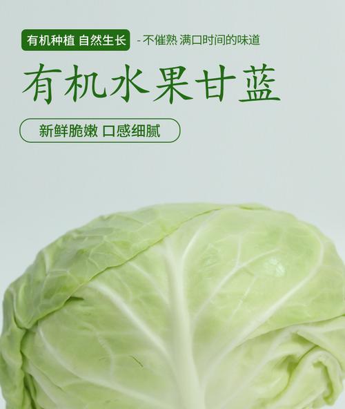 卷心菜的生长周期及关键因素（生长环境、品种选择、栽培技巧）