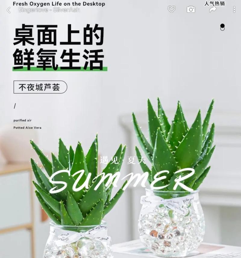 芦荟的喜阳与喜阴特点（探究芦荟生长的环境条件）