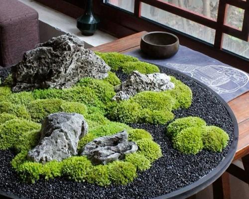 会议桌上的植物摆放（为您的会议室增添活力与生气）