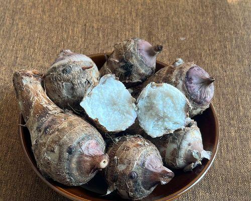 芋艿生芽可否食用？解答你的疑惑（探究芋艿生芽的营养价值及食用方法）