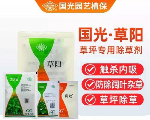 高羊茅：多年生的营养丰富植物