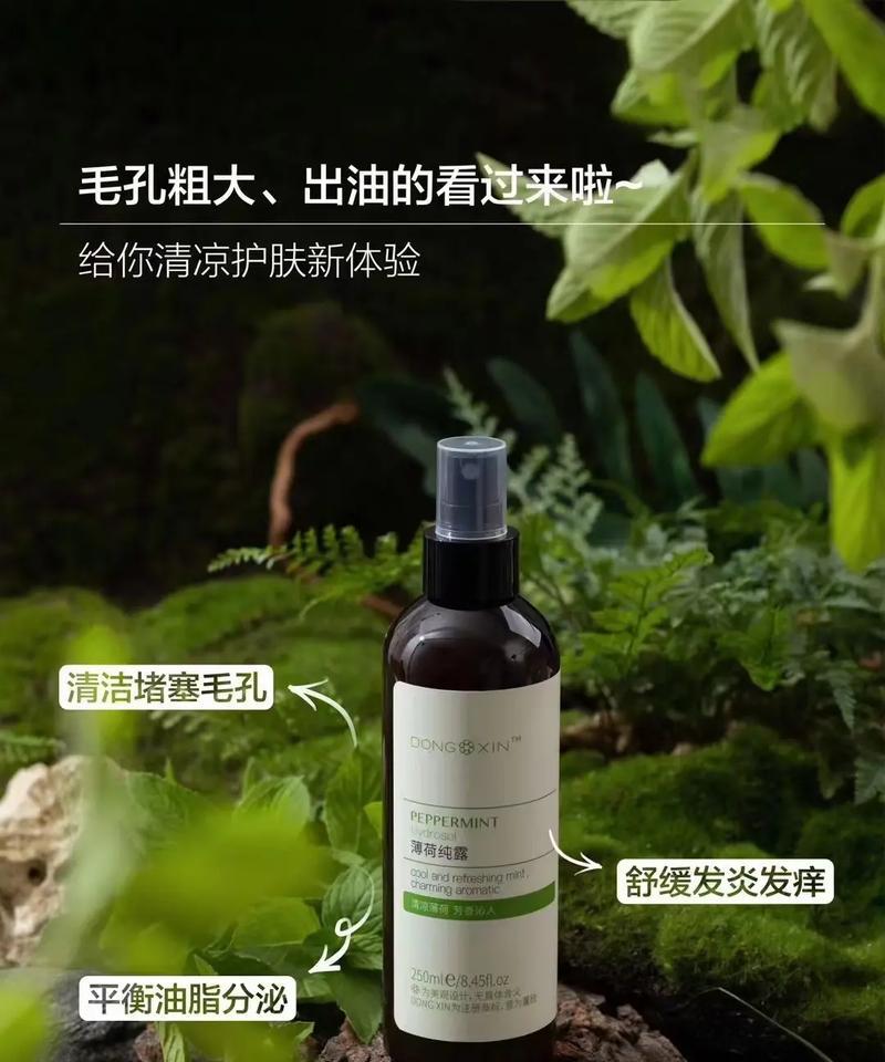 薄荷的耐寒温度及其适应环境的研究（探究薄荷适应低温环境的生理机制）