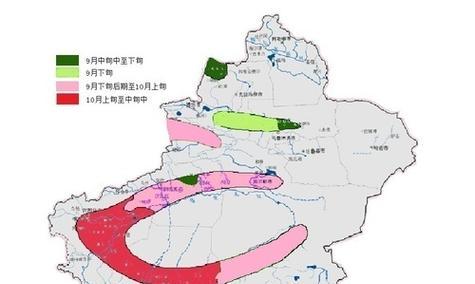 冬小麦的最佳播种时间（寻找适合冬小麦生长的最佳时间）