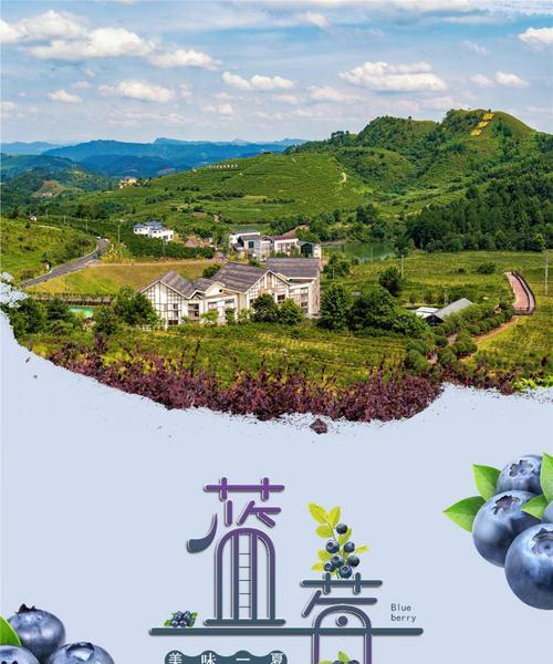 麻江蓝莓成熟时间及采摘技巧（麻江蓝莓成熟季节、最佳采摘时间、保存技巧）