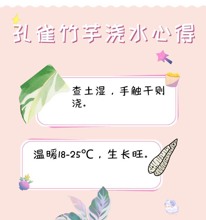 孔雀竹芋浇水小技巧（每周浇一次水，慎防浸泡，注意排水。）