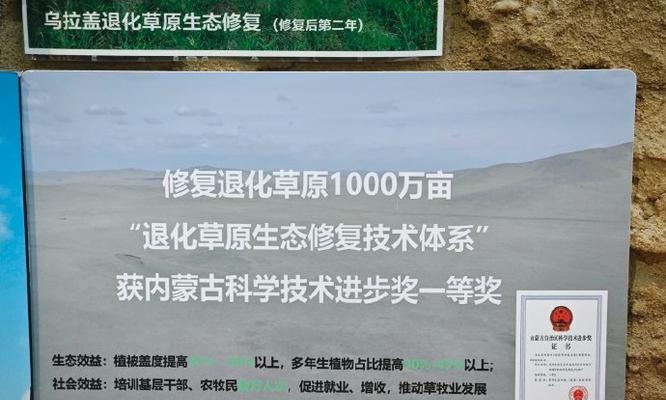 小草的品质与精神（探究小草的坚韧和勇气，认识小草的卓越品质）