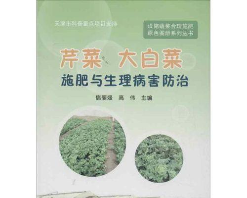 白菜病虫害防治方法（预防病虫害措施，提高产量）