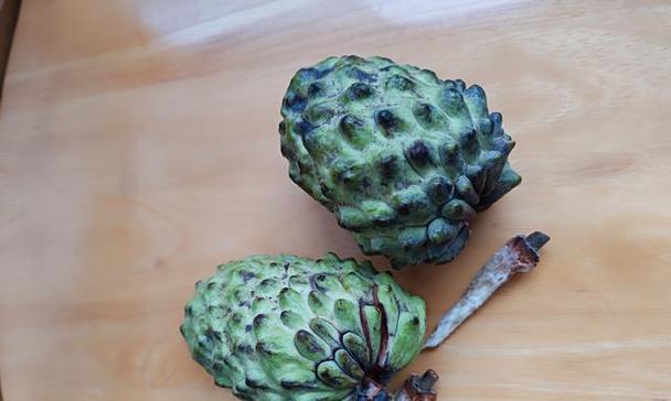 释迦果种子的最佳种植时间（什么时候种植最能确保收成丰盛？）