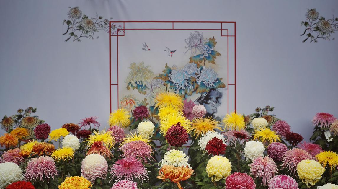 湘潭市花——菊花的象征与寓意（探秘湘潭市花，解读菊花的文化内涵）