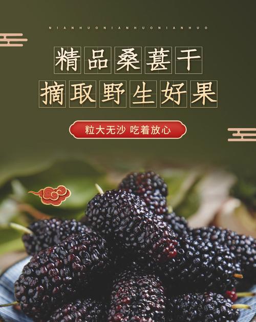 探秘桑椹子的神奇功效（寻找健康美丽的秘诀）