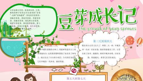 探究豆芽生长周期（从种子到豆芽的完整生长过程）
