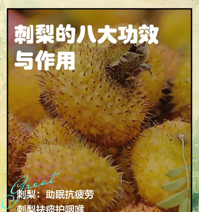 刺梨几年结果实种，专家揭秘果树成熟周期（刺梨果树成熟周期分析、实现早期收获的技巧）