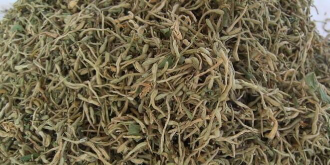 金银花不开花的原因（揭开金银花生长的秘密）