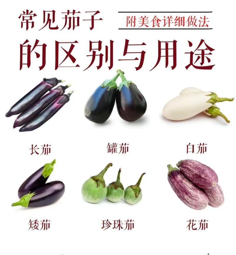 如何挑选新鲜美味的长茄子（识别好的长茄子买法与保存技巧）
