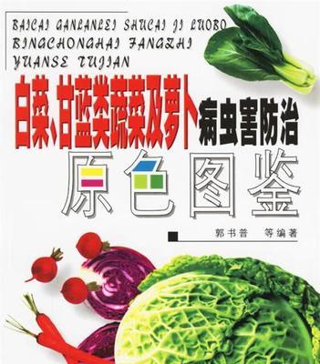 白菜病虫害防治全攻略（掌握防治技巧，让白菜底气更足）