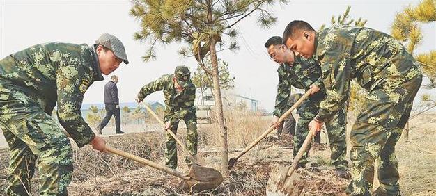 井边适合种植哪些树？（选择合适的树种，让井边更美好）