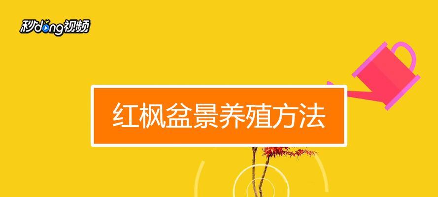 红枫的养殖方法和注意事项（打造枫叶之美，让家园更美丽）