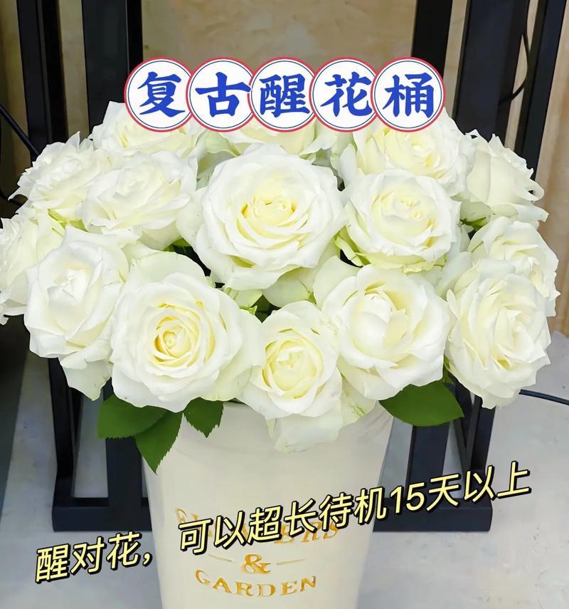 如何醒花火龙珠？-点亮鲜花的秘诀（从传说到现实，探秘神奇鲜花的复苏之路）