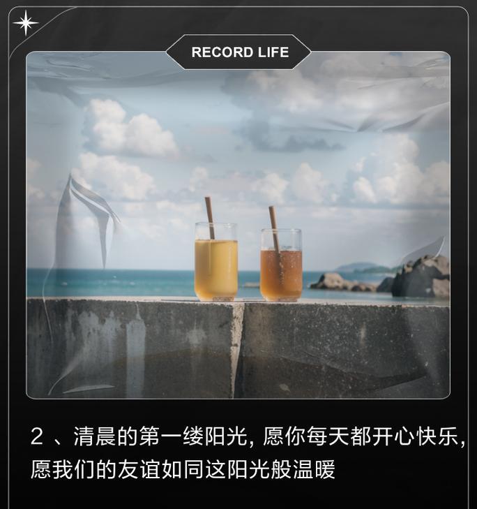友谊长存的花——用花语表达友谊（用1种美丽的方式，让友谊永存）