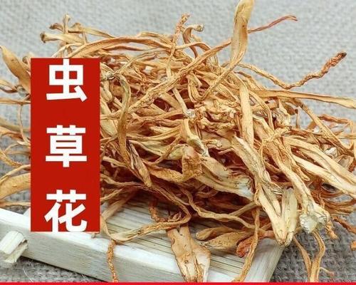 探秘虫草花的奇妙世界（了解虫草花的别称和神奇功效，掌握选购方法和使用技巧）