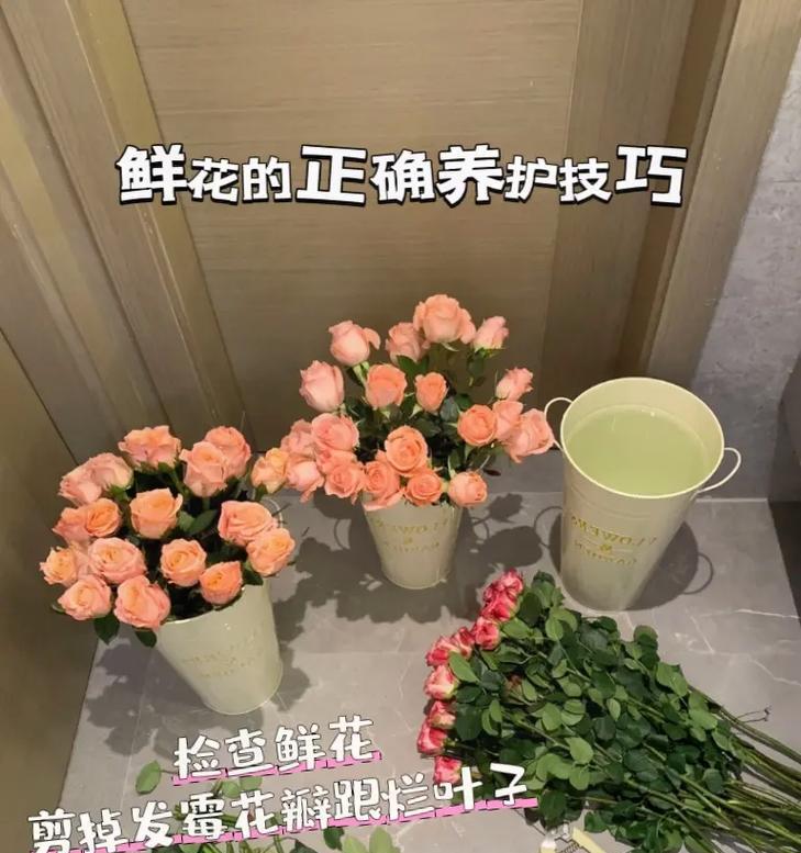 如何醒花火龙珠？——教你轻松激活这颗神奇的鲜花珠（从何处入手？——详解火龙珠的醒花方法和注意事项）