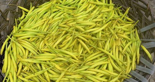 黄花菜的营养价值和食用方法（黄花菜的营养价值和食用方法）
