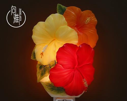 扶桑花可以放卧室吗？（了解扶桑花对健康的影响。）
