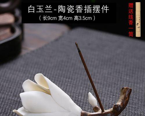 白玉兰根系的发达程度（深入探究白玉兰的根系结构及特点）