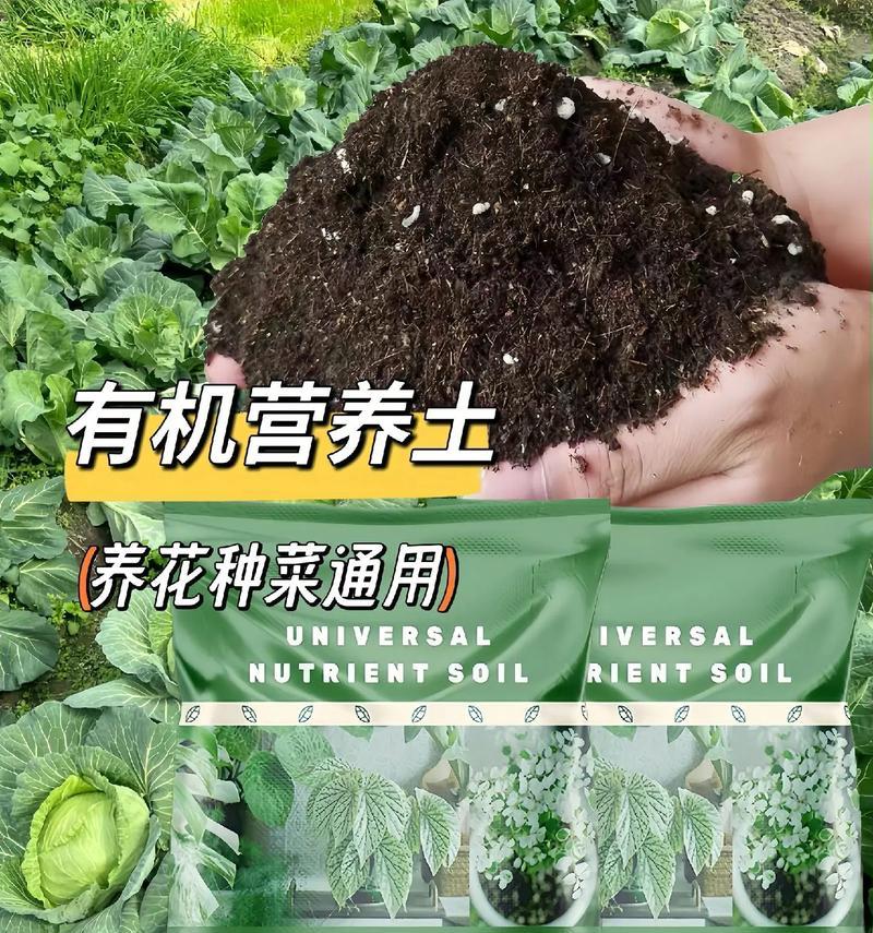 通用营养土种花指南（了解如何使用通用营养土，让你的花朵茁壮成长）