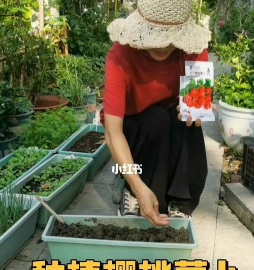 萝卜种子的发芽和出苗时间（了解萝卜的发芽和生长周期，轻松种出美味的萝卜）