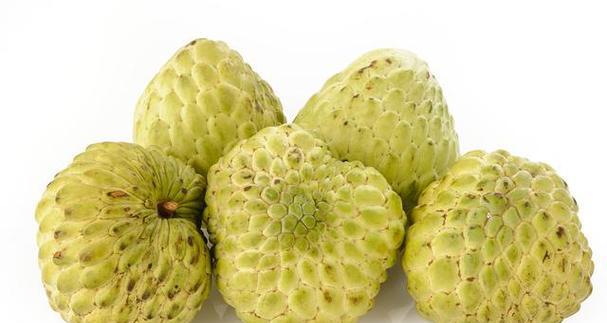 释迦果2的成熟期及栽培技巧（掌握这些技巧，让你种植出口味更佳的释迦果2）
