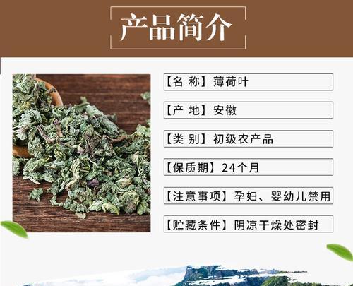 如何有效避免薄荷叶子干枯？（薄荷叶子枯萎的原因及补救处理方法）