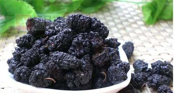 探究桑葚的含糖量（高糖含量会影响健康吗？）