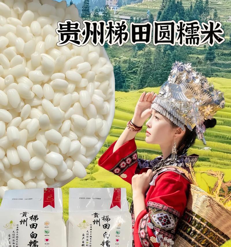 寻找最好的糯米产地（哪里种出的糯米最香甜）