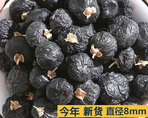 黑枸杞的生长环境和栽培技巧（了解黑枸杞的生态习性和栽培注意事项，助力收获丰硕）