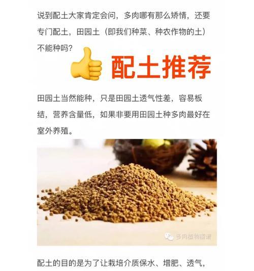 田园土加颗粒，多肉种植的好选择（多肉爱好者必备，让你的小清新梦想成真）