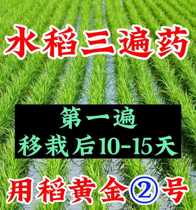 选择合适的农药保护水稻（优质高产，必选合适的农药）