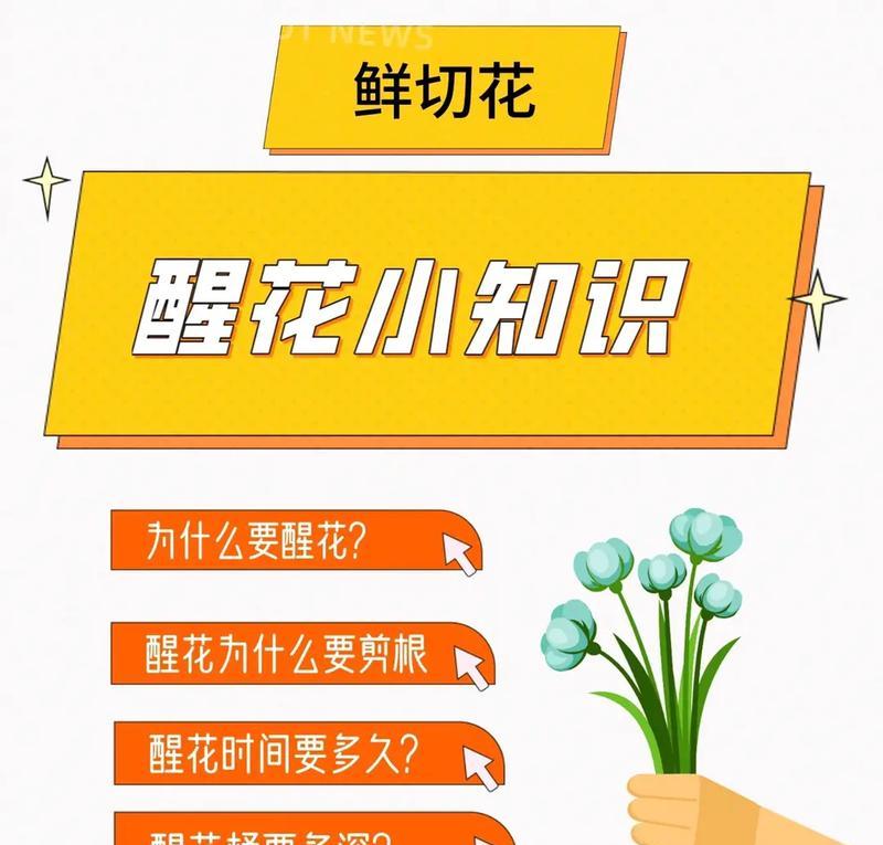 醒花切菊，让花色更鲜艳（鲜花保养技巧，教你轻松醒花）