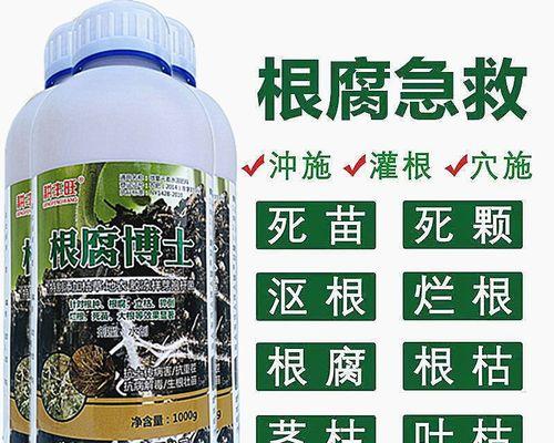 解决君子兰软腐病，救救你的植物（用什么药治疗君子兰软腐病？——辨认症状、选择药物、预防措施）