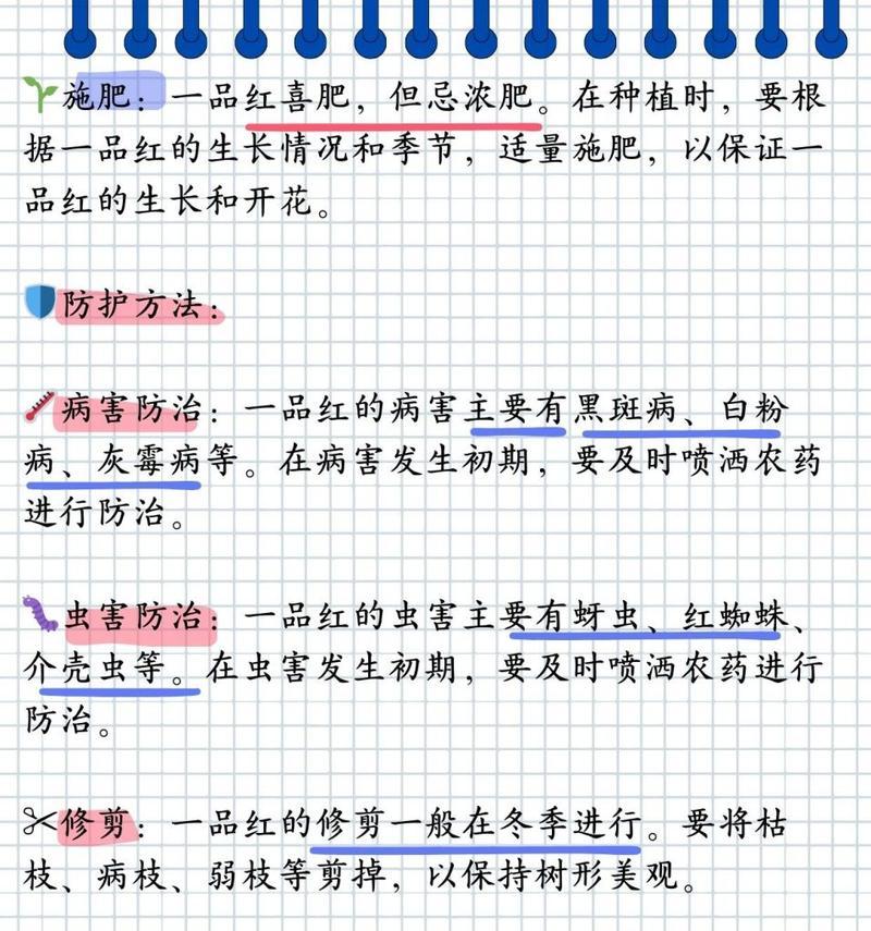 一品红怎么养才能开花？（养护技巧、光照要求、浇水方法等）